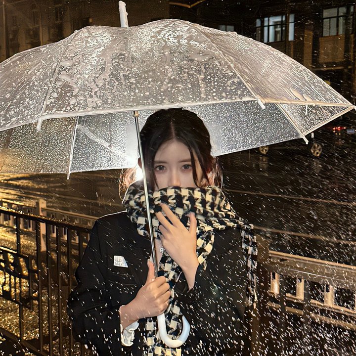 碧丽莎的情人
