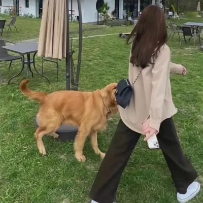 黑湖妖潭